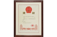 2012年度科學(xué)進步獎二等獎